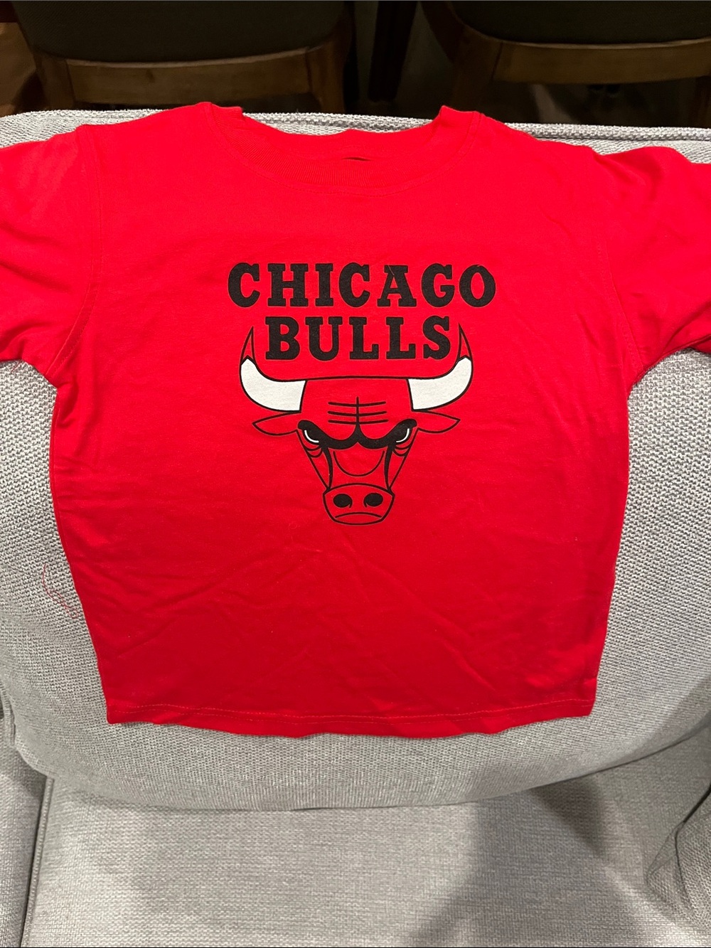 Chicago Bulls Red Graphic Tee NWOT 3T